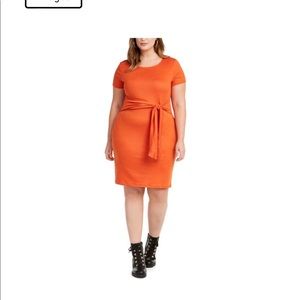 Planet Gold Short Sleeve Knit Bodycon Dress